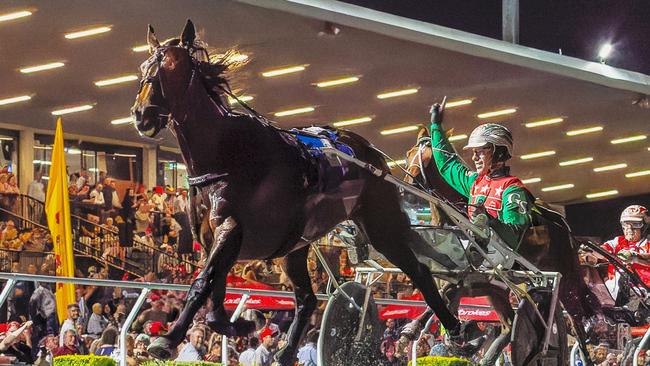 Rival trainers agree Just Believe deserves to be favourite in the TAB Trot on Friday night. Picture: Dan Costello