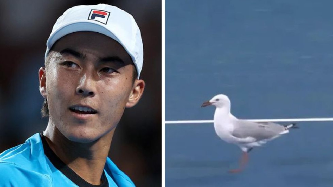 Seagull Brings Two Australian Open Matches To A Halt In Hilarious