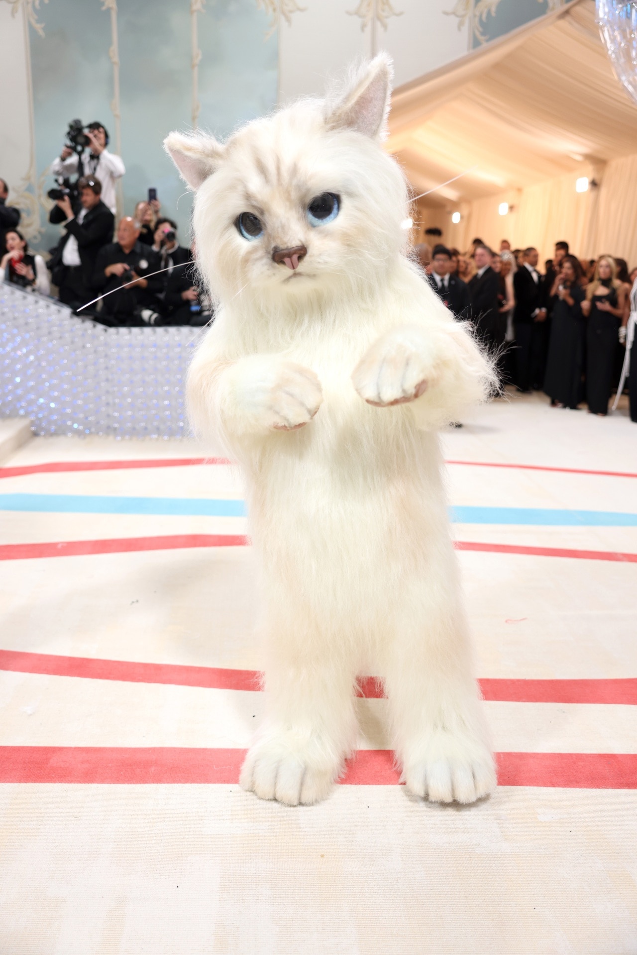Everything to Know About Karl Lagerfeld's Chic Cat, Choupette