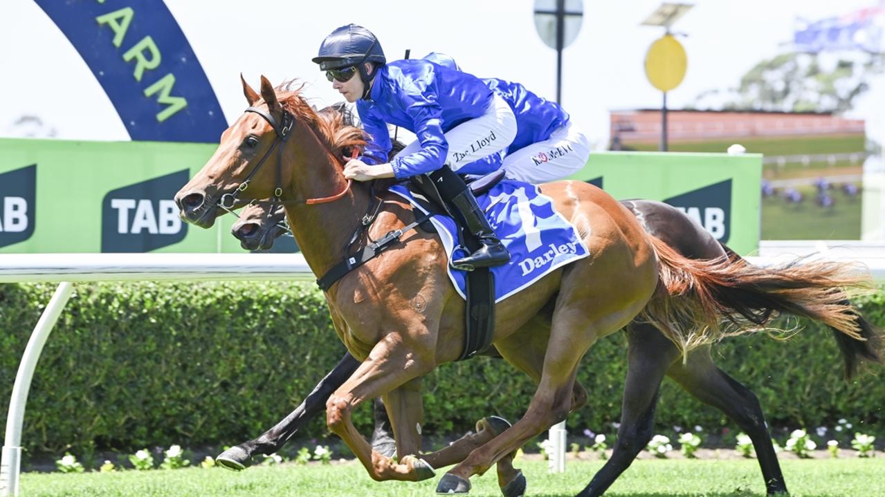 Shayne O’Cass’ Randwick Saturday tips, race-by-race analysis