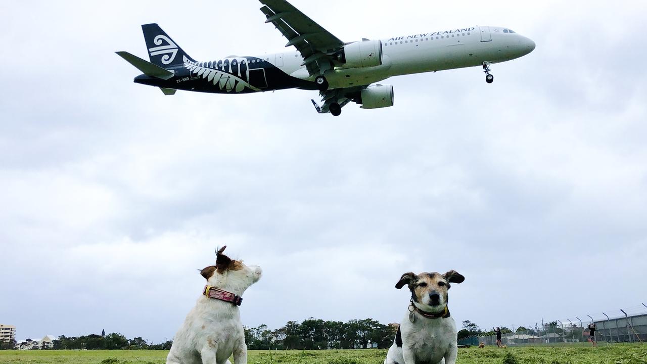 Wish I could go to New Zealand. Photo: Jo Staveley