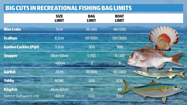 south-australia-s-fishing-bag-limits-to-have-biggest-reduction-in