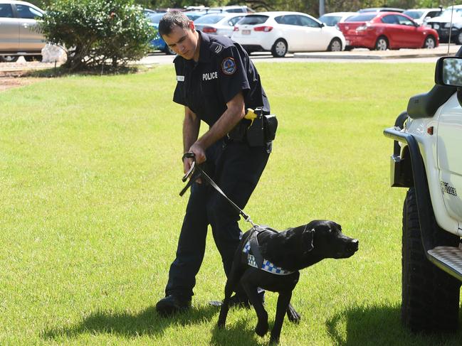 Drug detection dog Yeti, pictured with senior constable Luke Lamb in 2015, assisted with the seizure of 2.5kg of Kava on the Central Arnhem Hwy