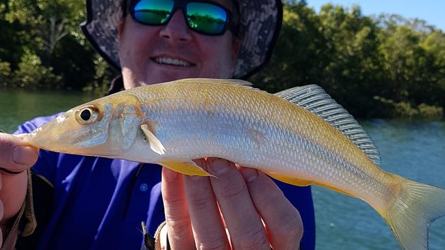 Tim Mulhall with a whiting.