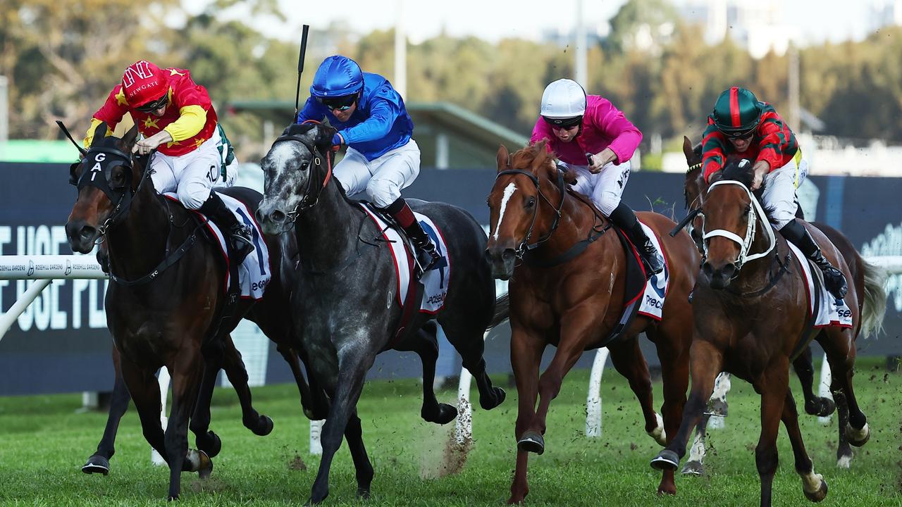 Lady Shenandoah (right) storms home to beat Mayfair (left), Snack Bar (blue) and Just Party (pink) in the Ming Dynasty at Rosehill. Picture: Getty Images