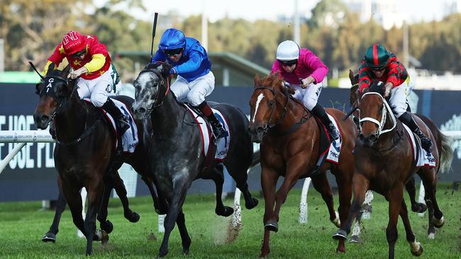 Lady Shenandoah (right) storms home to beat Mayfair (left), Snack Bar (blue) and Just Party (pink) in the Ming Dynasty at Rosehill. Picture: Getty Images