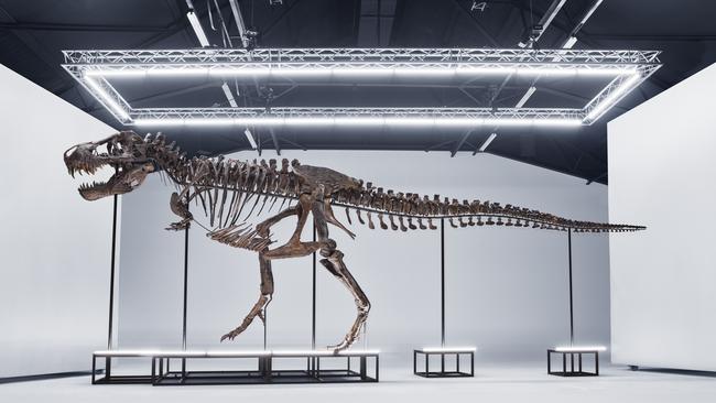 A T. rex skeleton known as TRX-293 Trinity which sold at auction in April 2023. Source: Koller Auctions