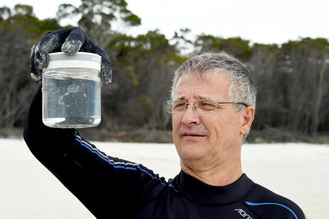 Fraser Island - Surf Life Saving Queensland have conducted marine stinger drags on Fraser Island. The drags were to look for Irukandji - Jellyfish expert, Associate Professor for James Cook University and advisor to Surf Life Saving Queensland, Jamie Seymour caught this Irukandji on Friday night, 30 metres off the Fraser Island Shore. Picture: Valerie Horton