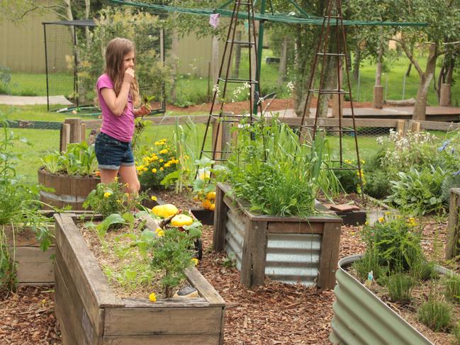 Open ended learning is key. Picture: ediblekidsgardens.com.au