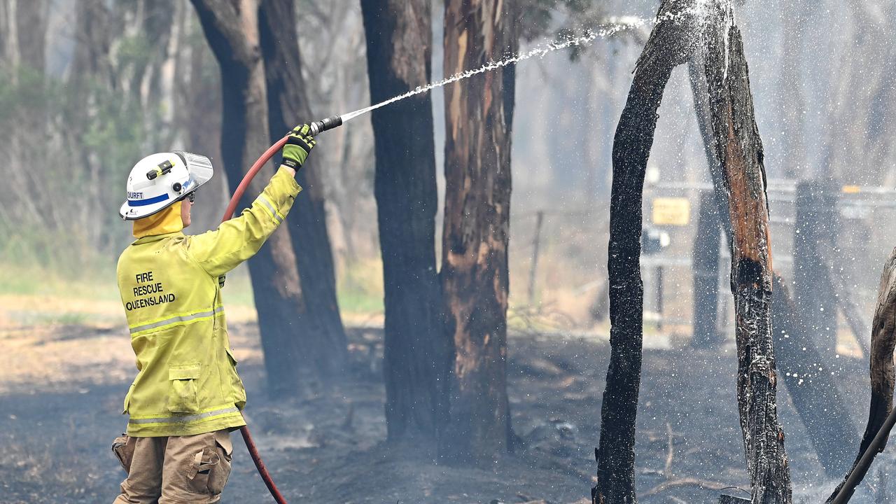 Fire crews hose down a burning tree near Dalveen. Photo: John Gass