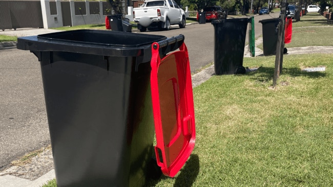 Aussie’s bin error is a reminder for all of us