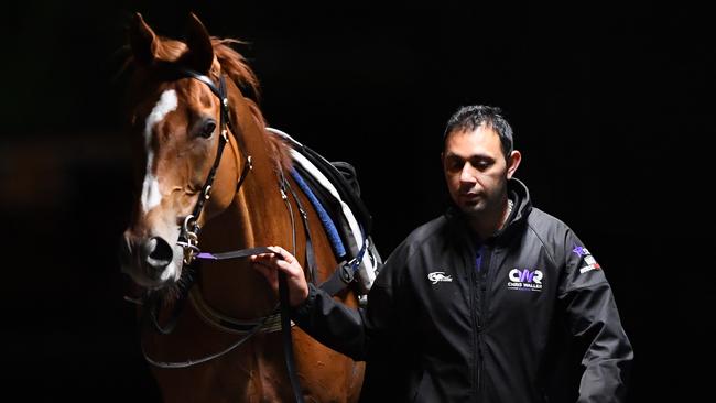 Finche will be out to improve on his fourth placing in last year’s Melbourne Cup. Picture: AAP