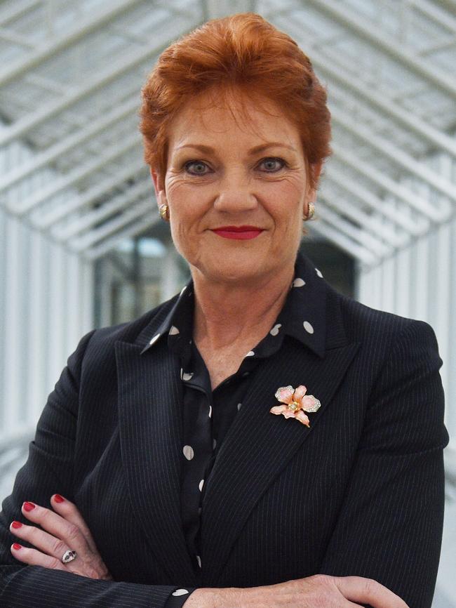 One Nation leader Senator Pauline Hanson.