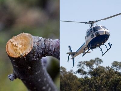 A man in his 30s was airlifted to hospital on Friday with a suspected head injury.