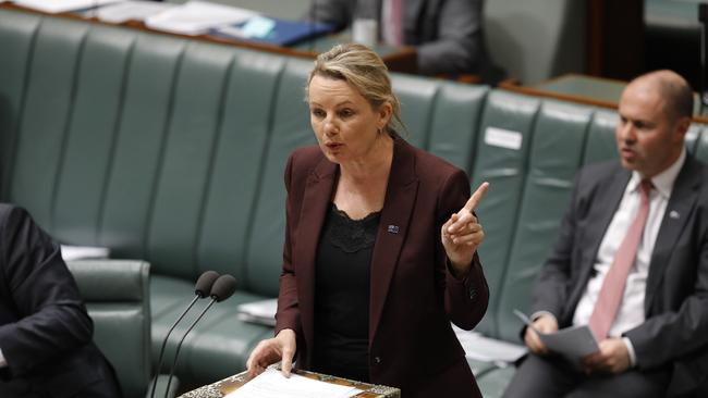 Environment Minister Sussan Ley. Picture: Sean Davey.