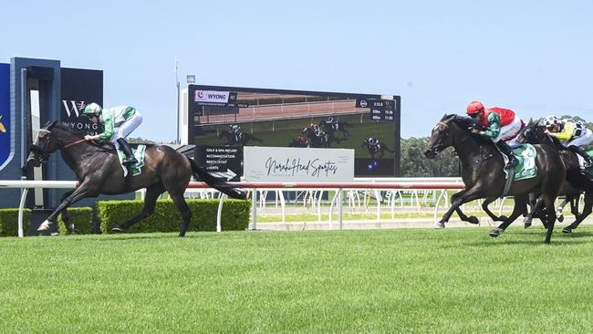 Zizette (red, green sleeves) can turn the tables on Nyota (left) when they meet again at Newcastle. Picture: Bradley Photos