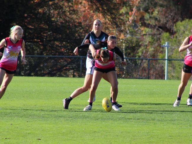 SFLW Community League: Hutchins v Cygnet. Picture: Jake Garland