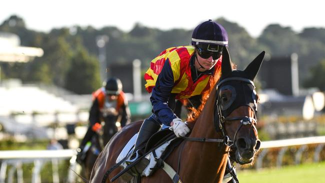 Jamie Kah riding Nature Strip at Flemington. Picture: Vince Caligiuri/Getty Images