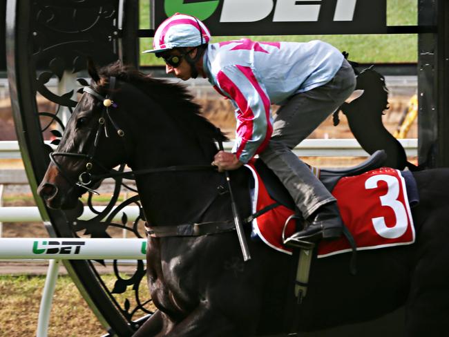 Azkadellia won her heat at Eagle Farm. Picture: Annette Dew