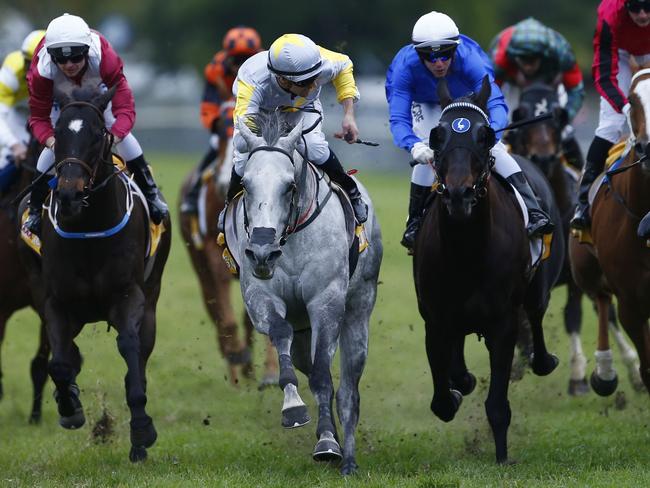 Smart Volatility (centre) announces himself with victory in Grafton’s famous Ramornie Handicap. Picture: Jason O'Brien