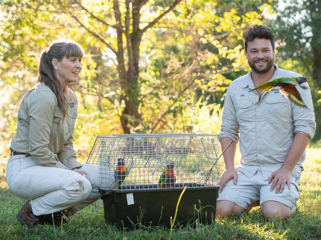 Terri Irwin, Lorikeets and Veterinarians at Australia Zoo Wildlife Hospital