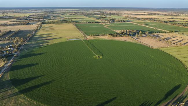 At 385 Park Rd, Undera, 38ha of centre pivot irrigation is developed.