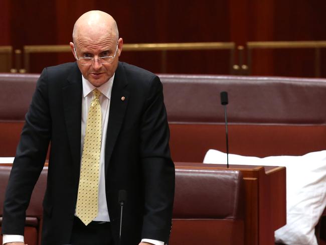 Senator David Leyonhjelm speaking in the Senate Chamber, Parliament House in Canberra / Picture: Kym Smith