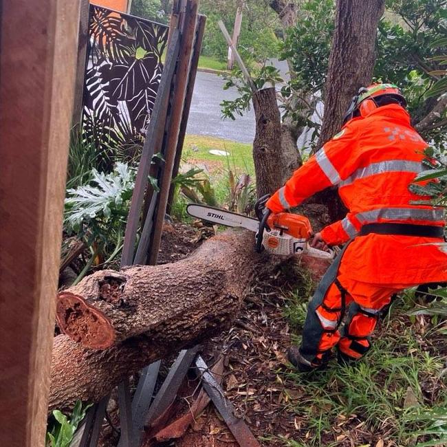 damaging winds continue to impact parts of the Northern Rivers and North Coast throughout Saturday,