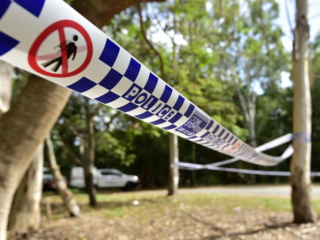 Police are appealing for information into a suspected hit and run near Taree.