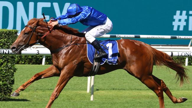 Smart sprinter Paulele can maintain his unbeaten record at Randwick. Picture: Grant Guy