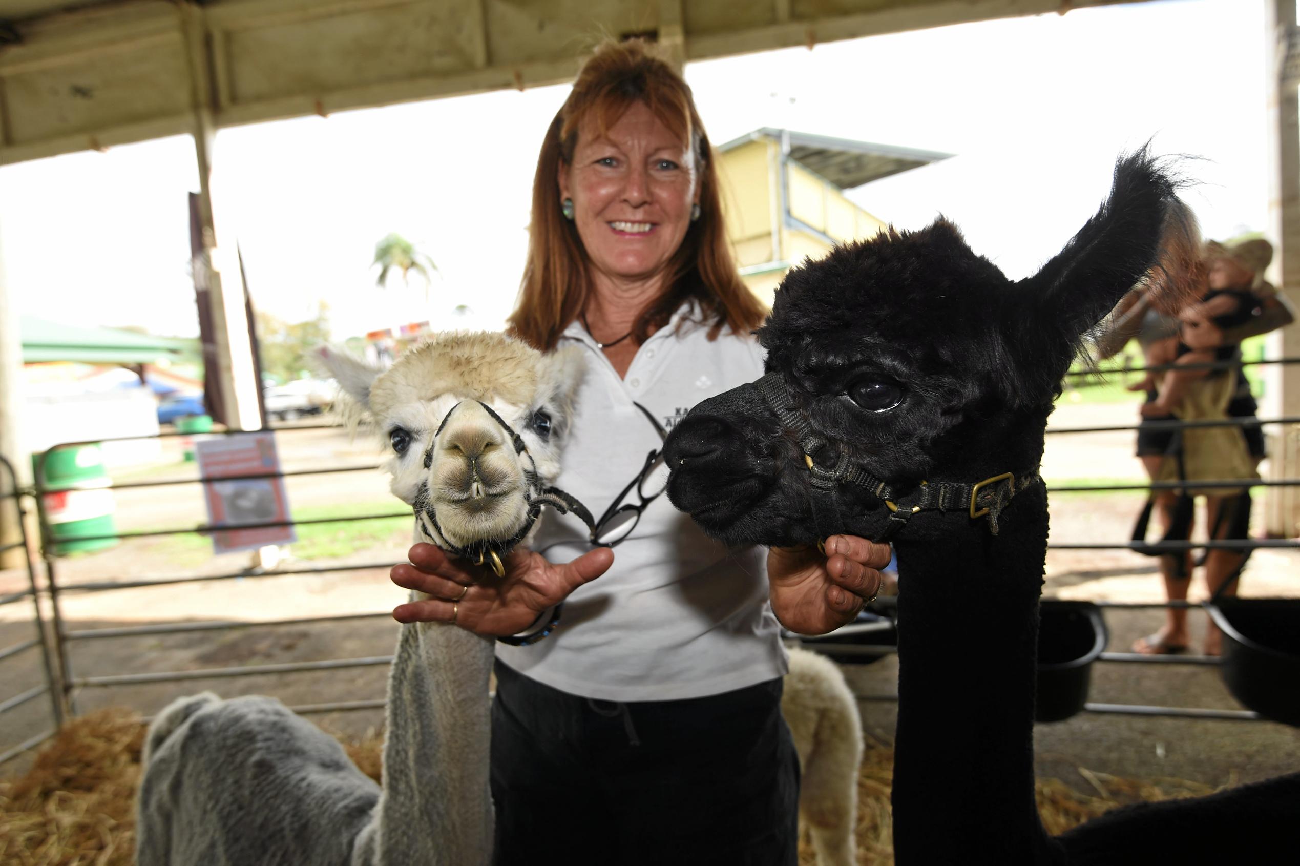 Lismore Show Day 1 Photos | Daily Telegraph