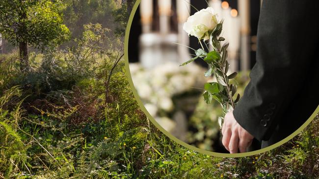 A natural burial ground could be established on a property near Mullumbimby.