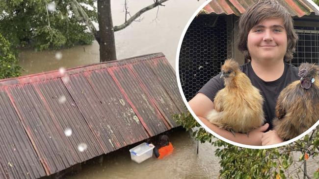 Kyle Bourke managed to rescue two of his chickens from flood water at Fernmount near Bellingen on March 30 this year.