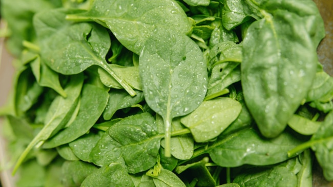 Spinach, kale and other leafy greensAnything vegetable containing flavonoids, carotenoids, vitamin C and vitamin E is a great one to reach for when fuelling the body against illness, and luckily for us, spinach is packed full of all 4 essential nutrients. Vitamins C and E help support the immune system and can even reduce the duration of common cold symptoms, according to some research. 