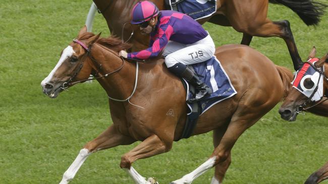 White Boots found winning form last start and looks a good chance again. Picture: Getty Images