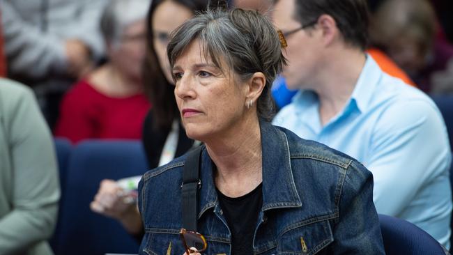 Jan Strom in the public gallery during a meeting in July 2019 about the Cultural and Civic Space.