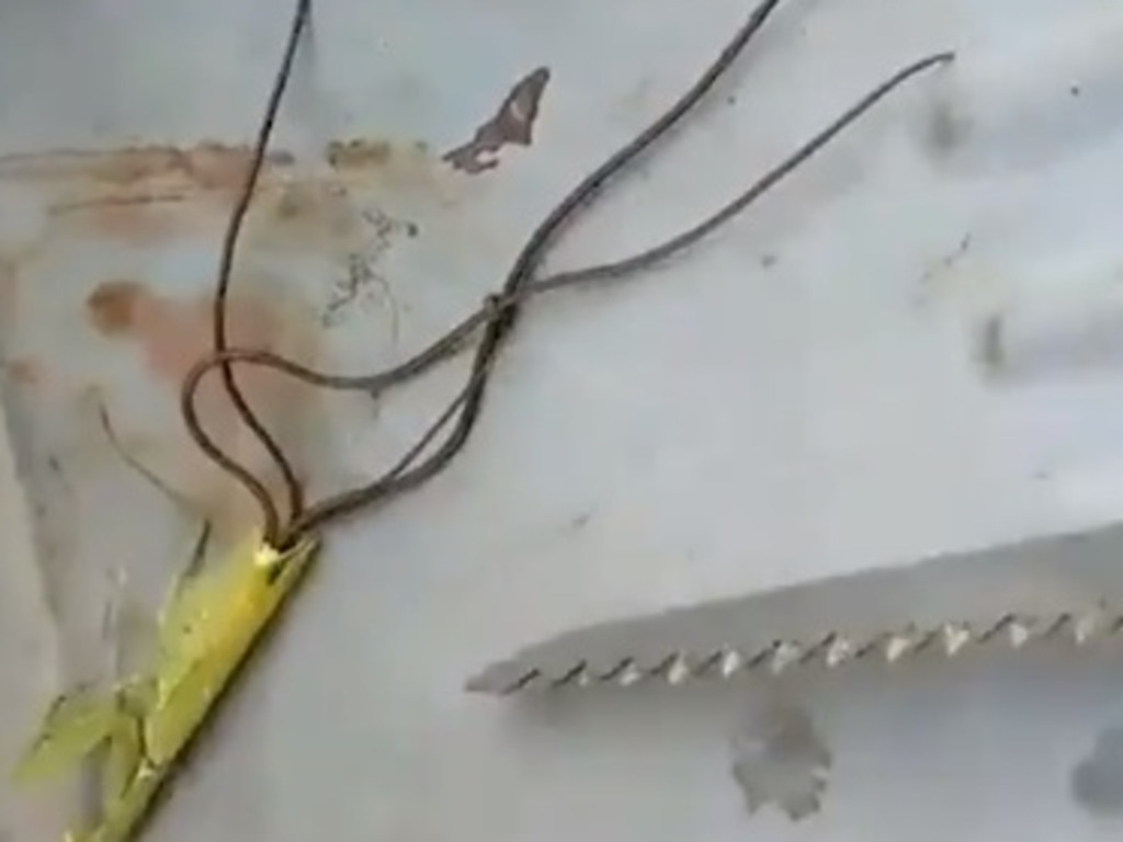 Praying mantis horror video Horsehair worms burst out of corpse