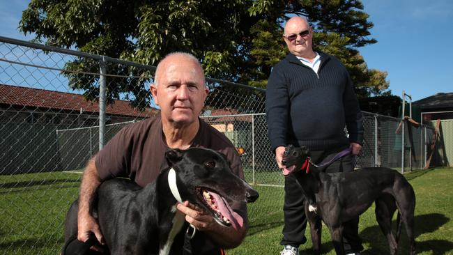 <s1>Trainers at Potts Park Greyhound Racing Club have been left devastated by the decision to ban greyhound racing in NSW. Picture is director and trainer Ron Marsden (left) with dog Hardaway Highway and friend Ray Holt with My Lady Day.</s1>                        <source> Picture: Robert Pozo</source>