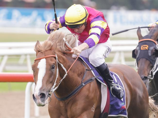 HAWKESBURY, AUSTRALIA - APRIL 30: William Pike on Mr Mozart wins race 7 the Blacktown Workers Hawkesbury Guineas during Hawkesbury Cup Day at Hawkesbury Race Club on April 30, 2022 in Hawkesbury, Australia. (Photo by Jenny Evans/Getty Images)