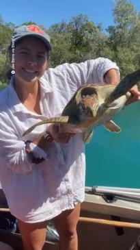 Turtle untangled and saved by boaters