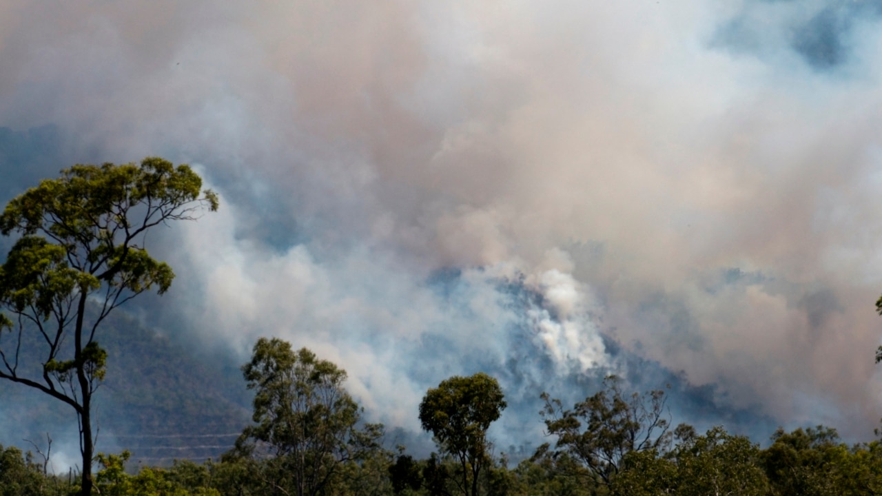 State of Environment report reveals 'extra damage' due to climate change