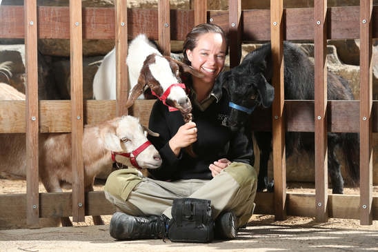 Behind the Scenes SA: Adelaide Zoo and Monarto Safari Park