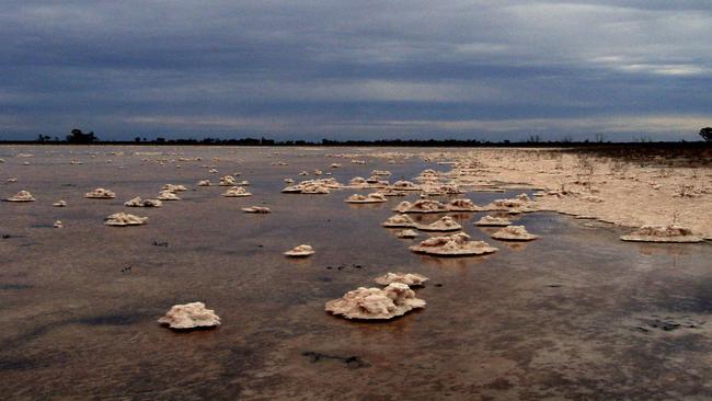 Salt interception schemes that are vital to protecting the Murray Darling Basin and its communities are yet to be repaired in the wake of the 2022 floods.