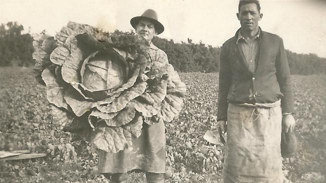 Mervyn and Hartley Ey’s father, Raymond, grew many crops to sell at the East End Market in the 1920s. He even grew this beauty of a cabbage one year. Picture: Supplied