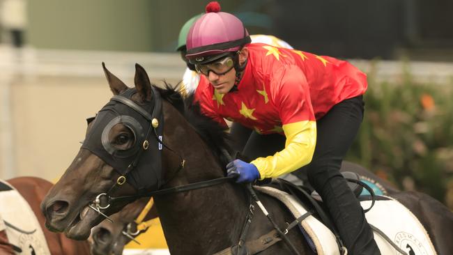 Artorius will begin his spring preparation with a trial at Cranbourne. Picture: Mark Evans–Getty Images