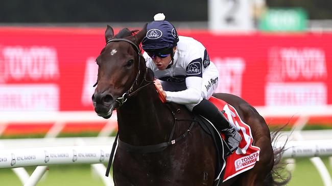 SYDNEY, AUSTRALIA - JANUARY 27: Josh Parr riding Amor Victorious wins Race 9 Toyota Forklifts  during Sydney Racing at Royal Randwick Racecourse on January 27, 2024 in Sydney, Australia. (Photo by Jeremy Ng/Getty Images)