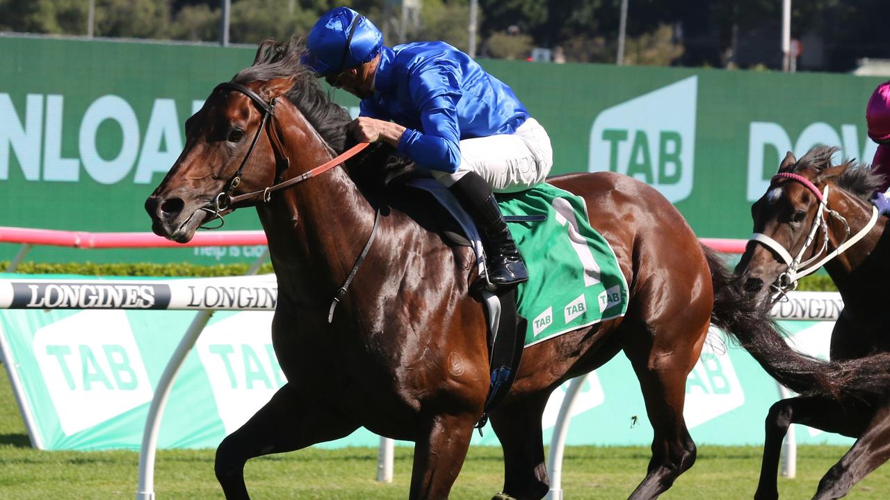 Champion galloper Anamoe is set to land a ninth Group 1 in the George Ryder Stakes at Rosehill on Saturday. Picture: Grant Guy