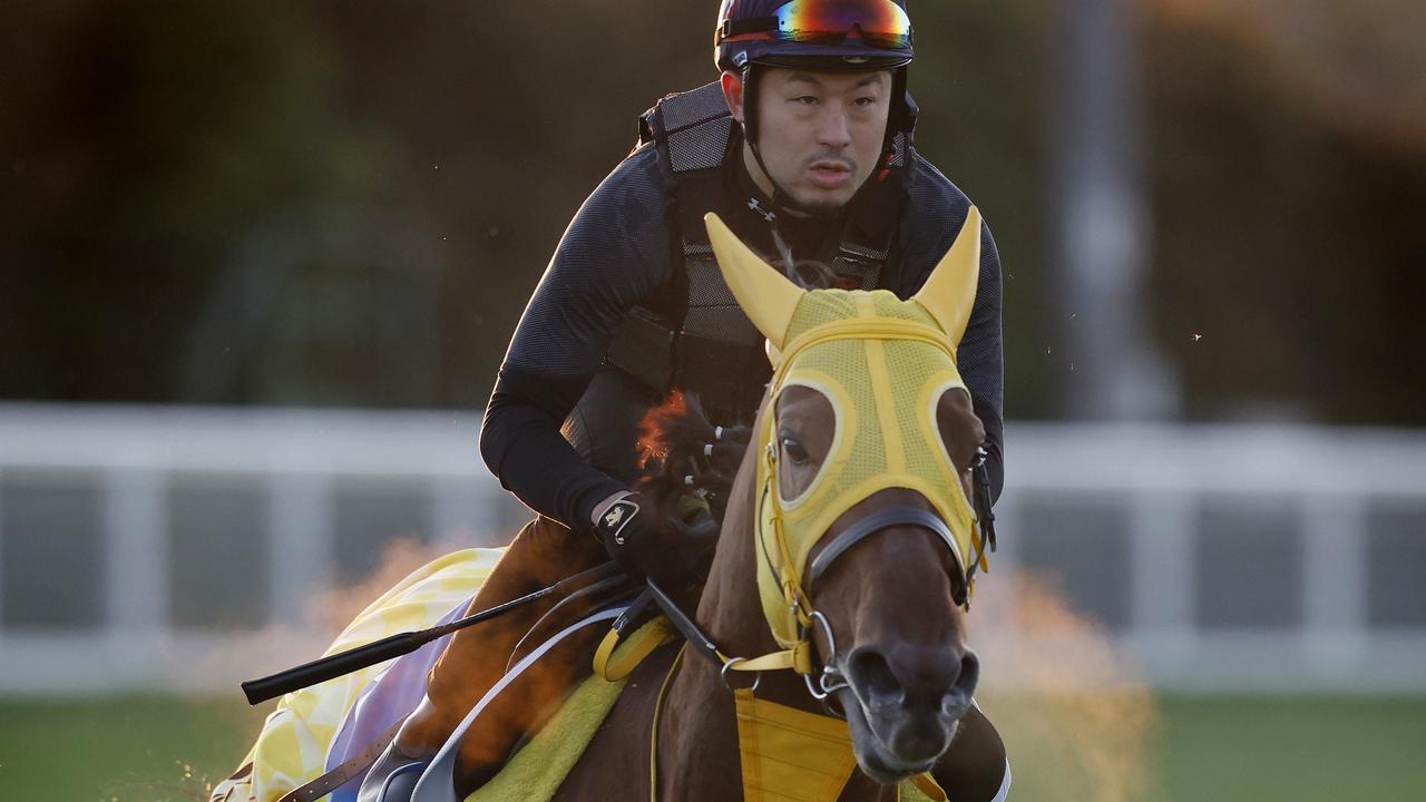 Pressure won’t Warp Japanese Caulfield Cup contender