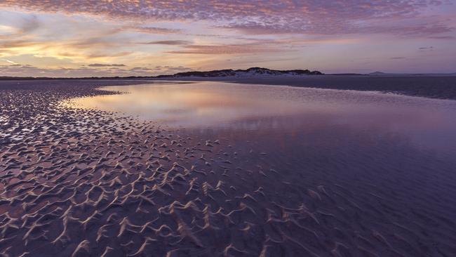 Robbins Island is a haven for thousands of migratory and resident bird species, but also the proposed site for a 100-turbine wind farm. Picture: Bob Brown Foundation