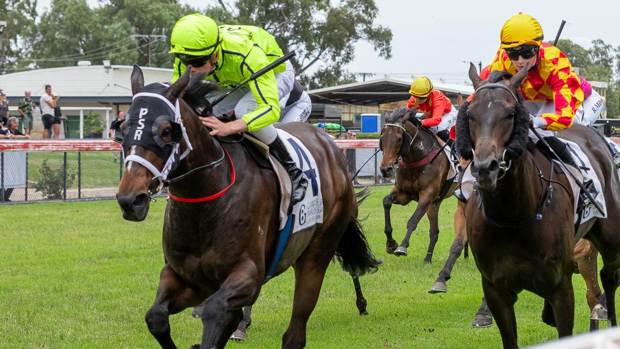 Jockey Lachlan Neindorf and Hasseltoff (lime silks) are too good for their rivals in the BM78 1500m at Gawler.